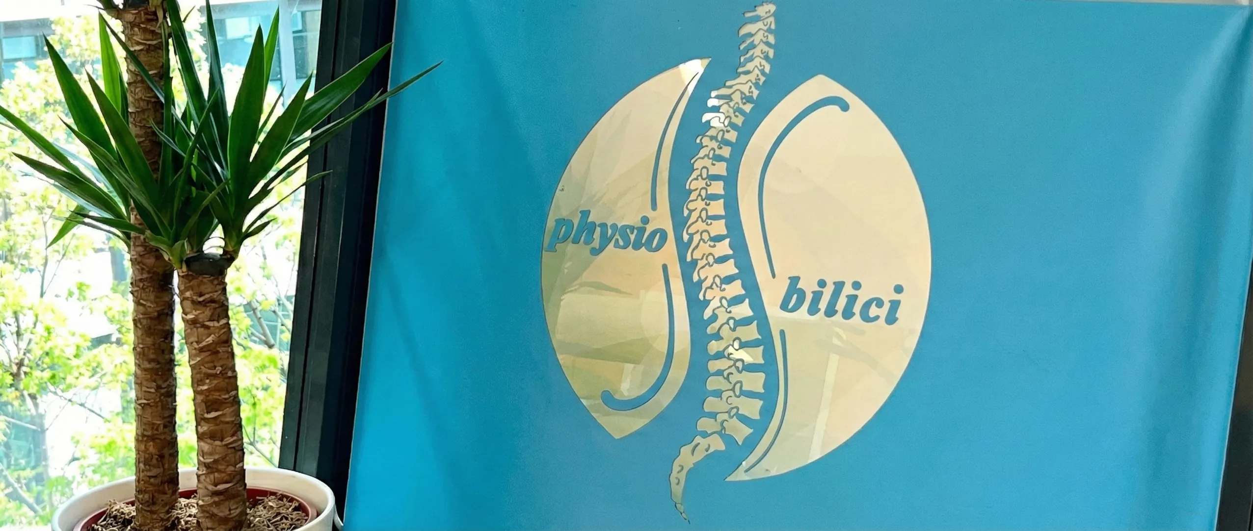 Physio Bilici Praxis Banner